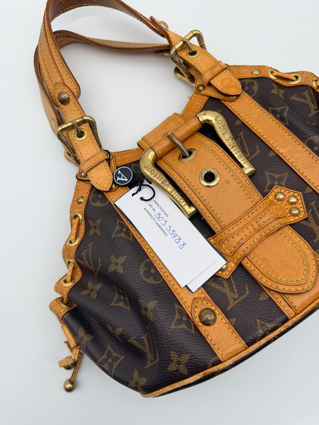 Louis Vuitton Monogram Theda GM