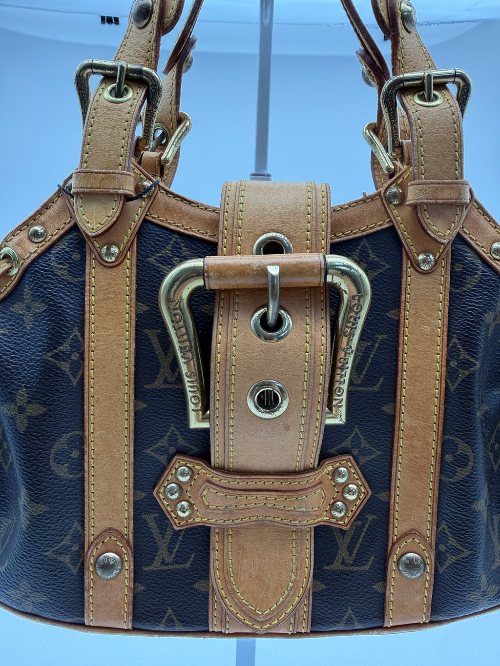 Louis Vuitton Monogram Theda GM