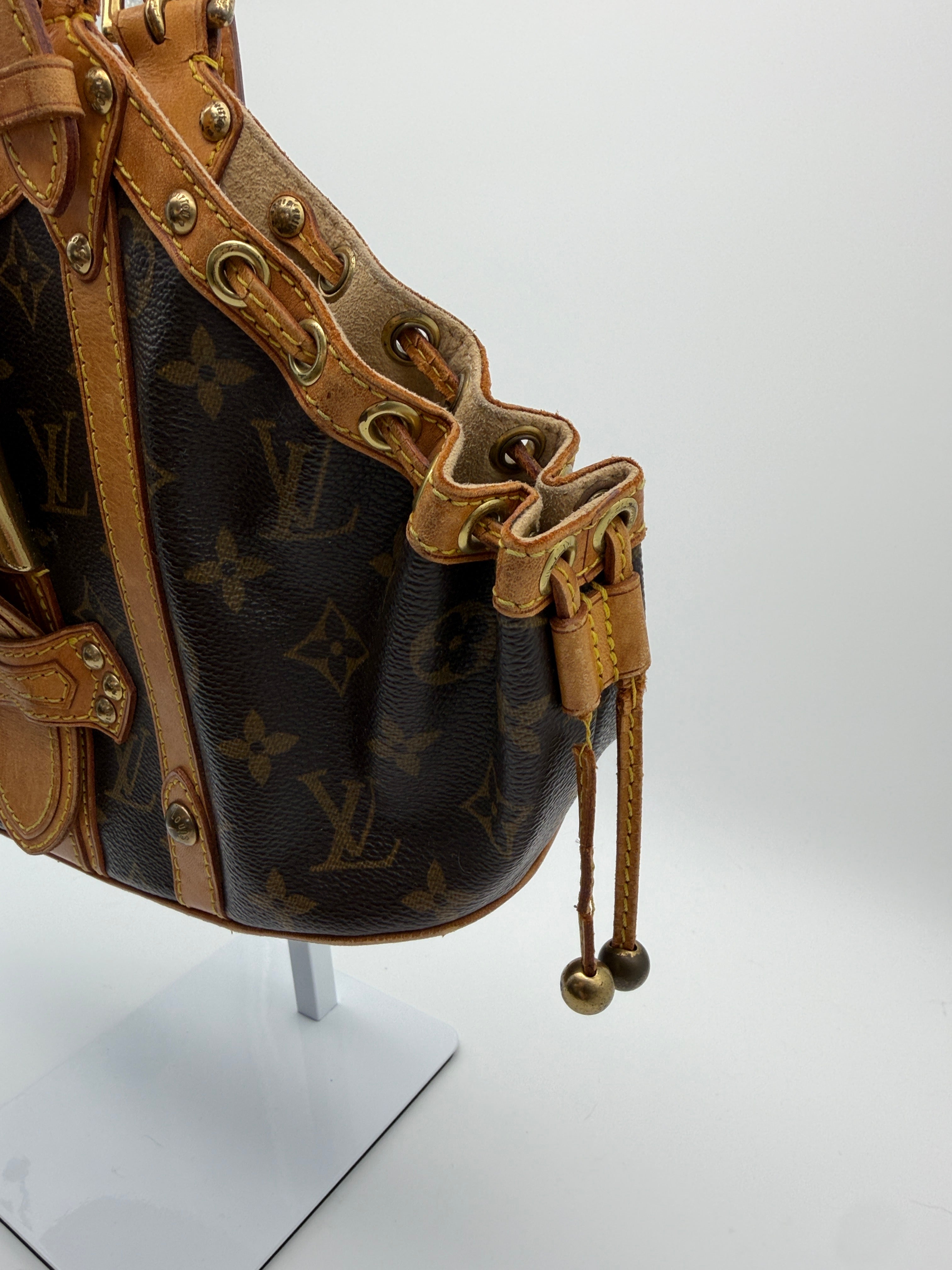 Louis Vuitton Monogram Theda GM