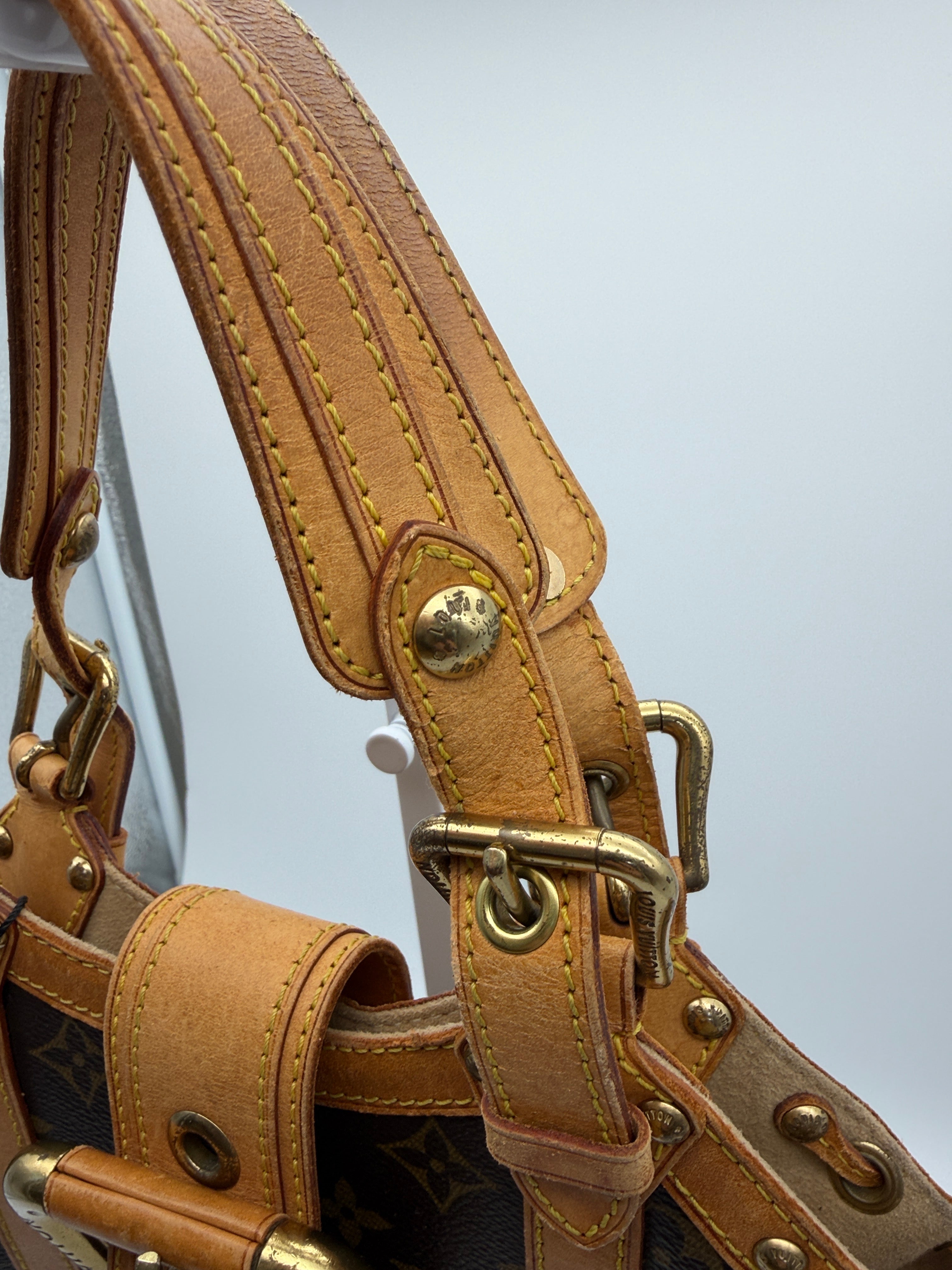 Louis Vuitton Monogram Theda GM