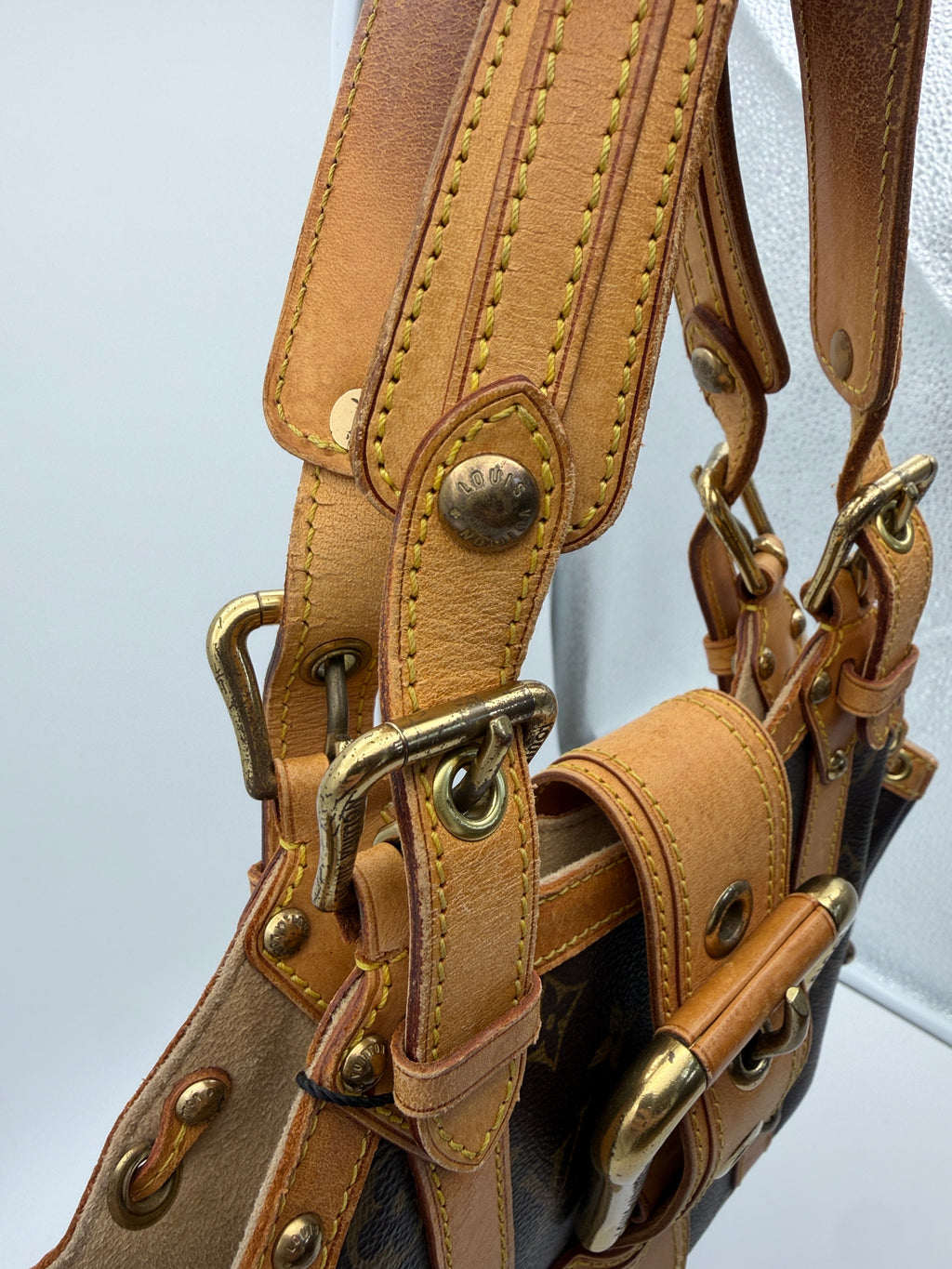 Louis Vuitton Monogram Theda GM