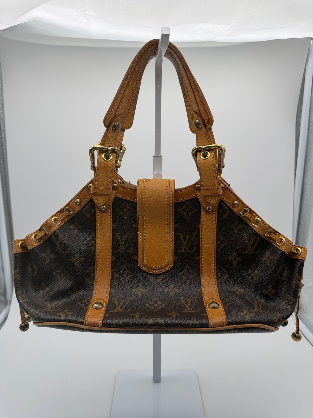 Louis Vuitton Monogram Theda GM
