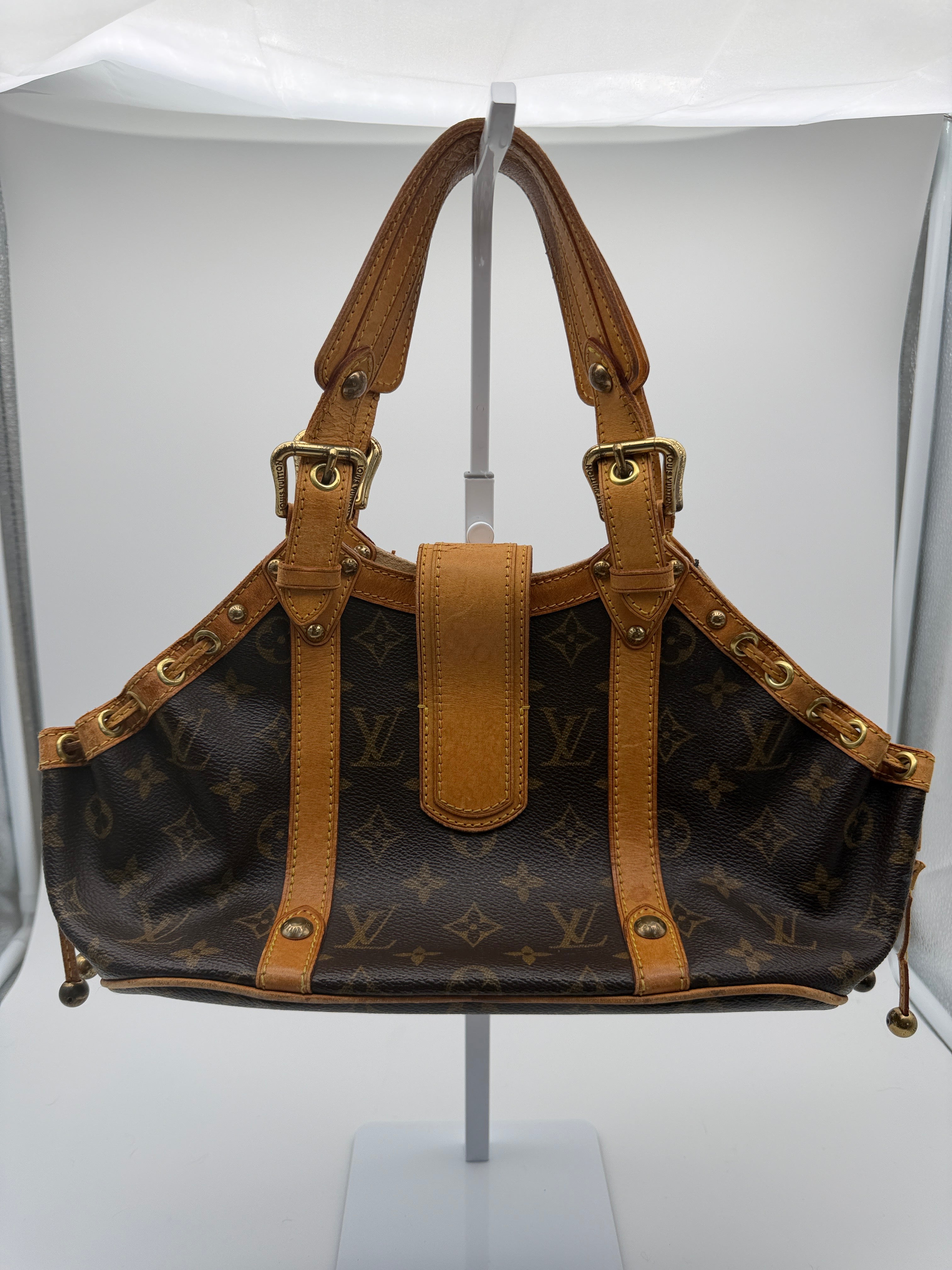 Louis Vuitton Monogram Theda GM