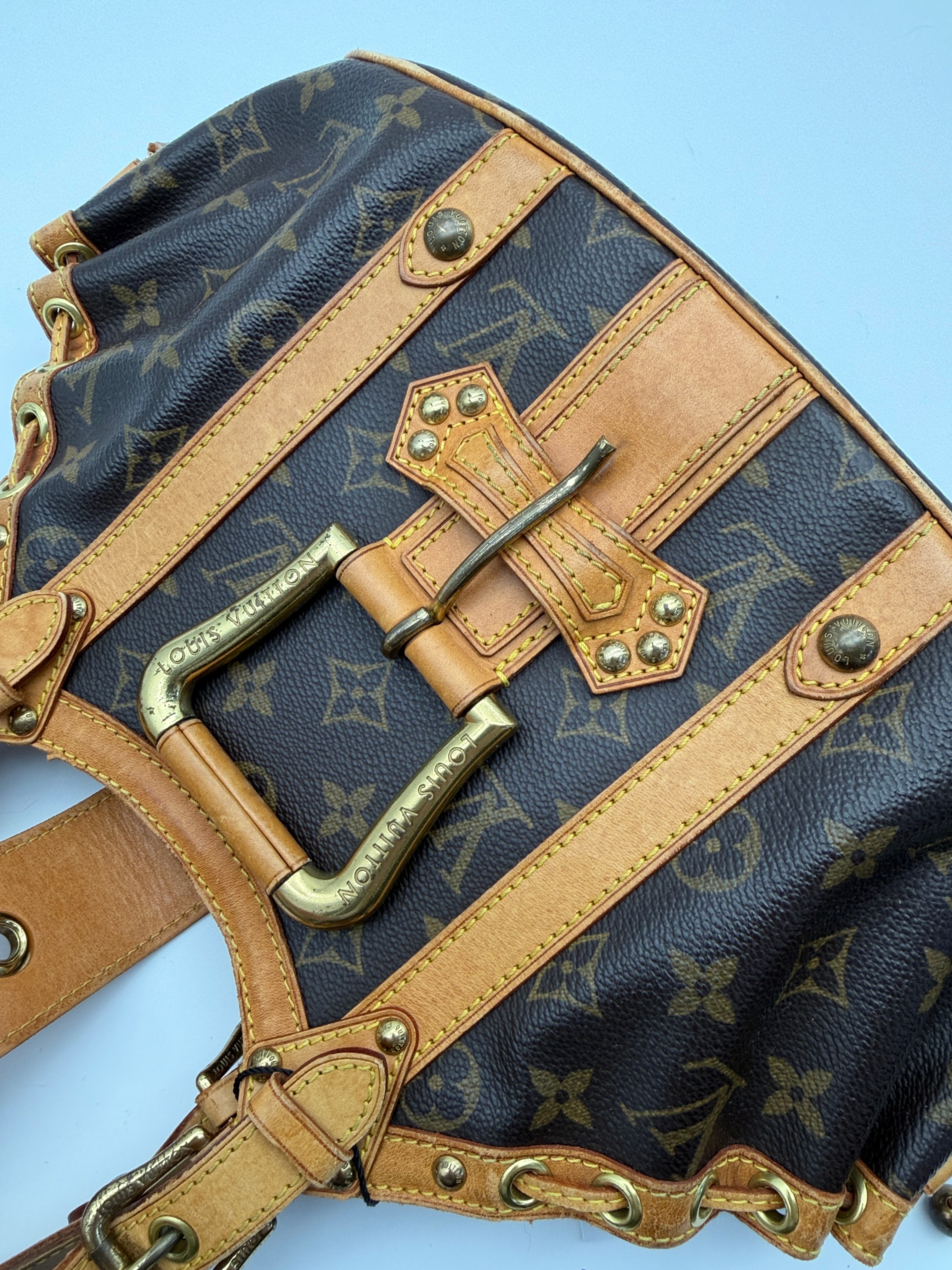 Louis Vuitton Monogram Theda GM
