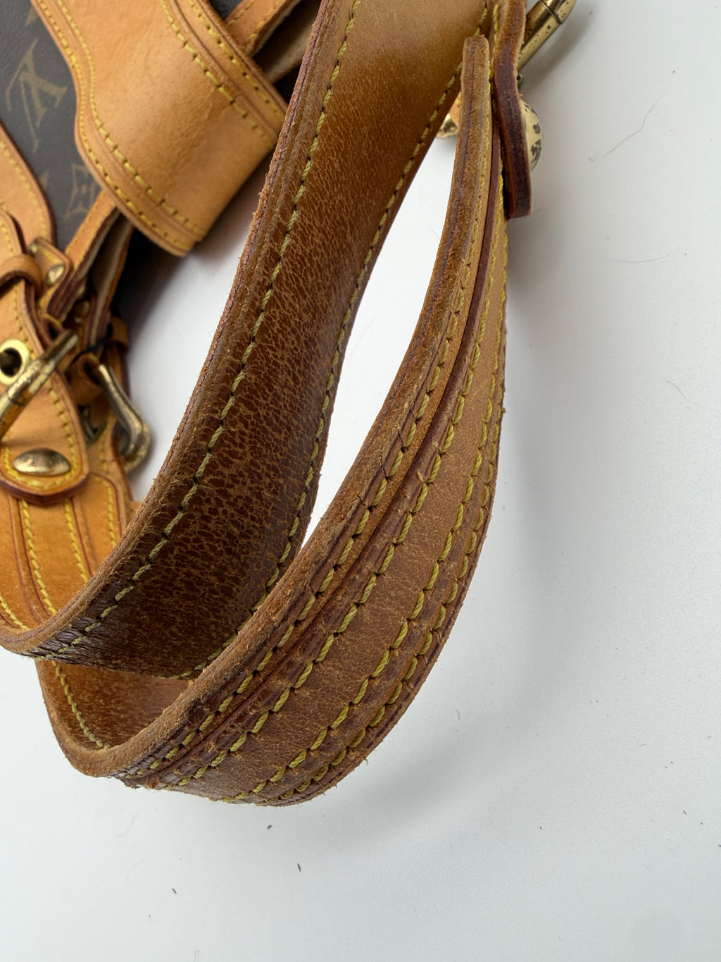 Louis Vuitton Monogram Theda GM